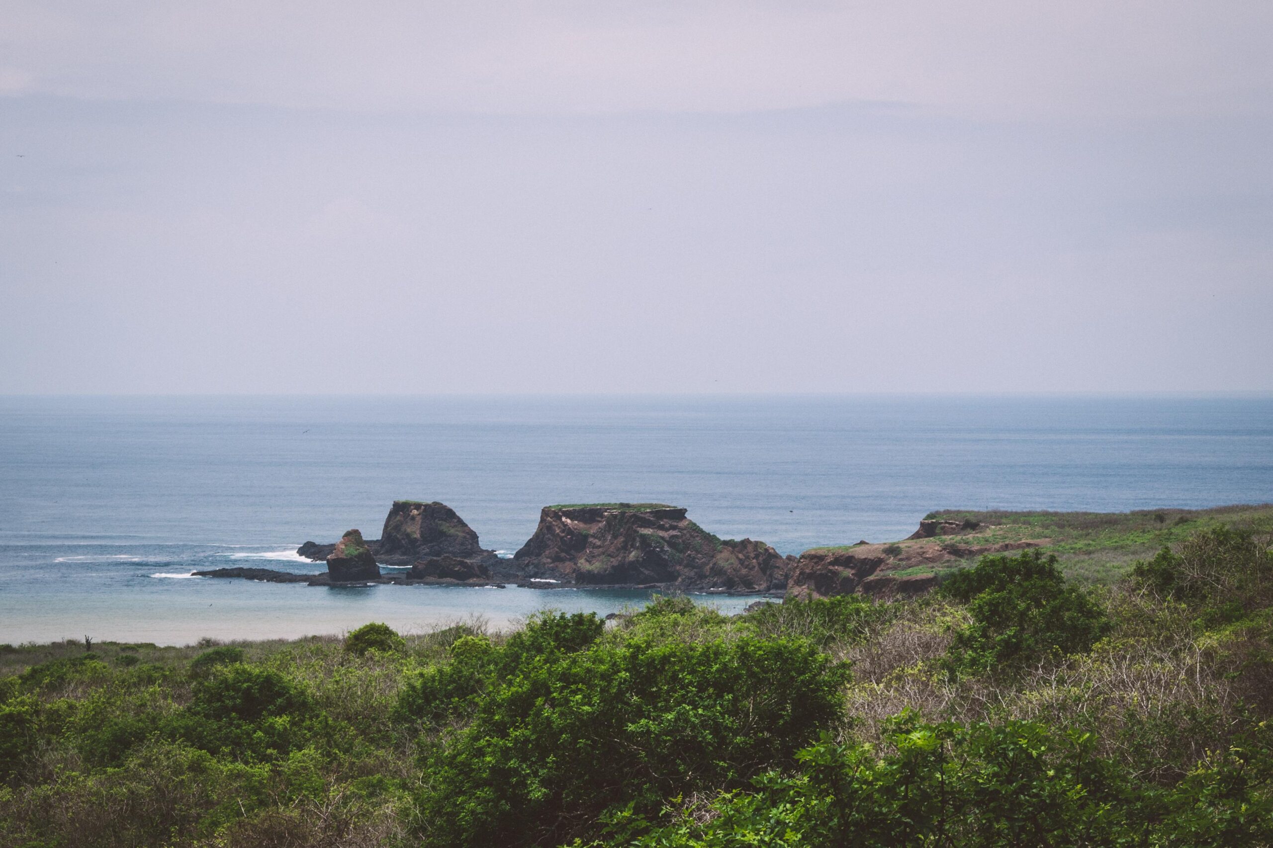 Isla de la Plata